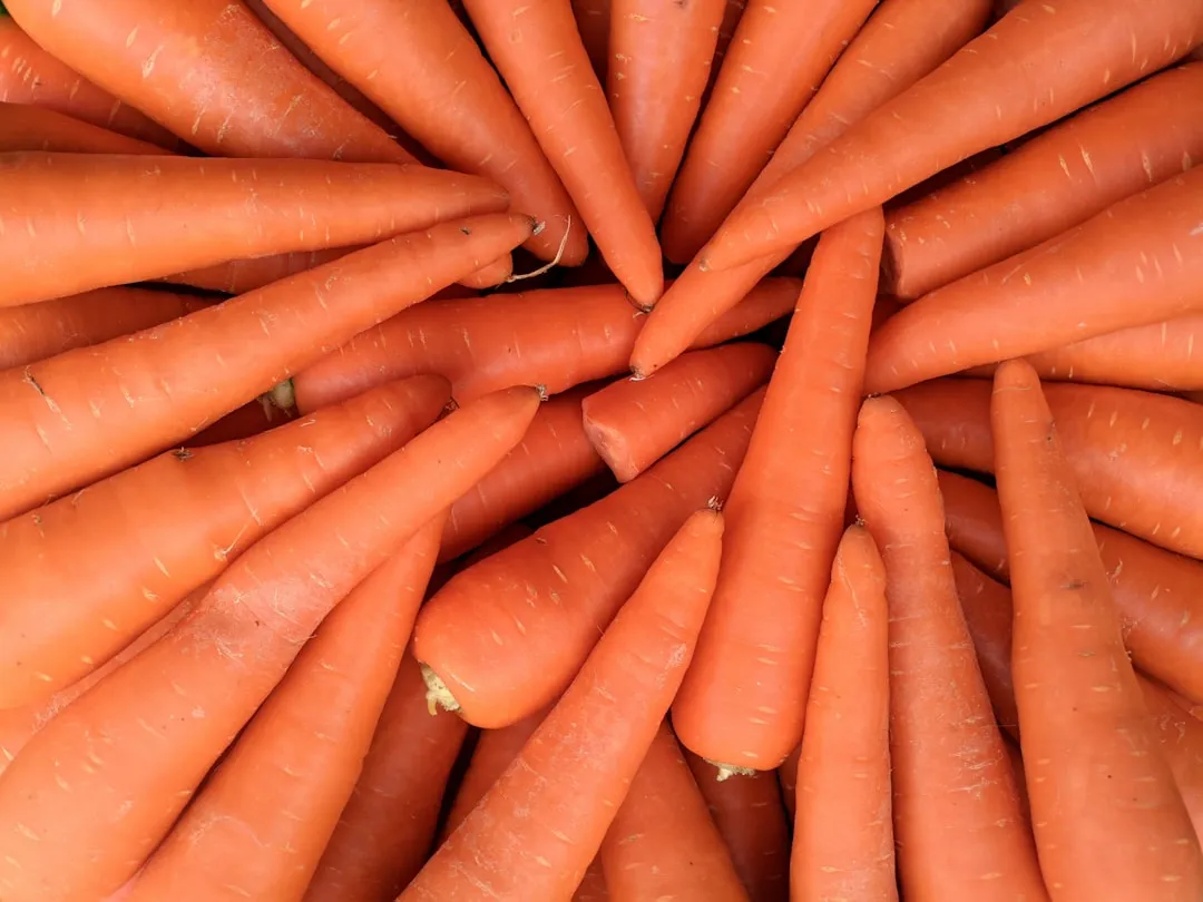 Carrots: Sweeter After the First Freeze (Image Credits: Unsplash)