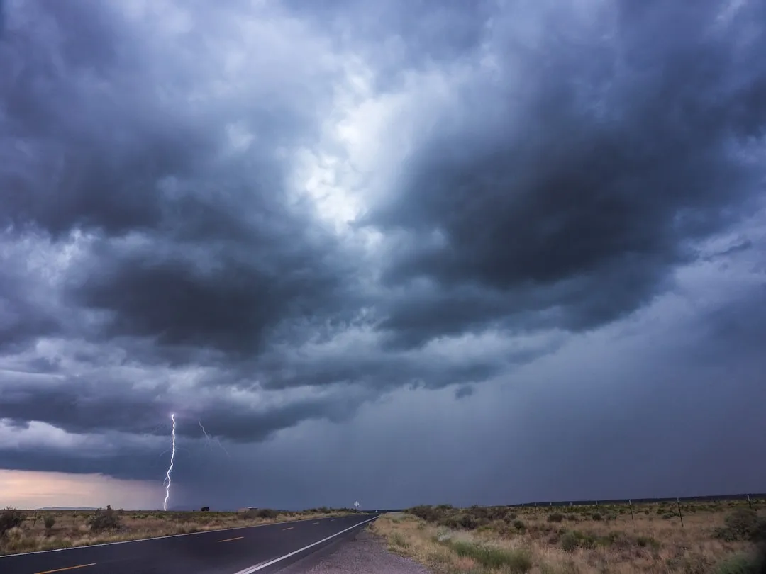 The "Whiplash Weather" Effect on Dormant Plants (Image Credits: Unsplash)