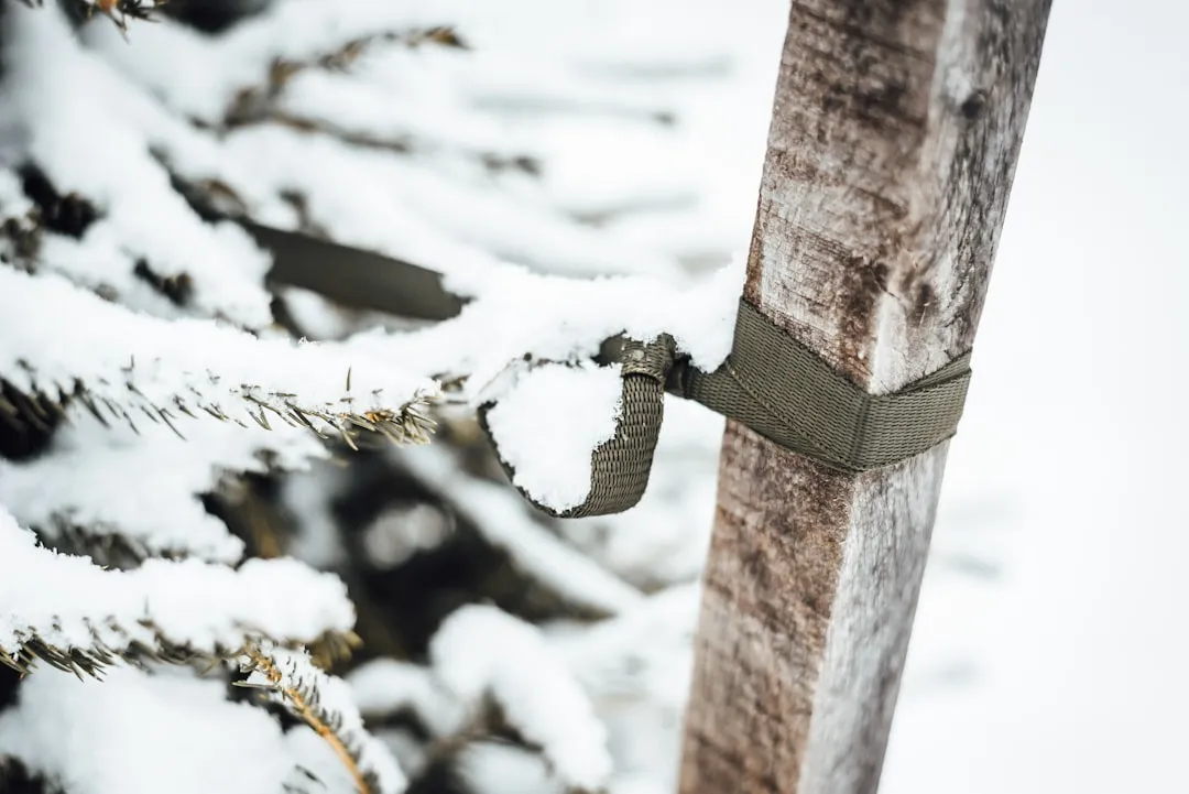 Staking Ties Are Among the Most Common Culprits (Image Credits: Unsplash)