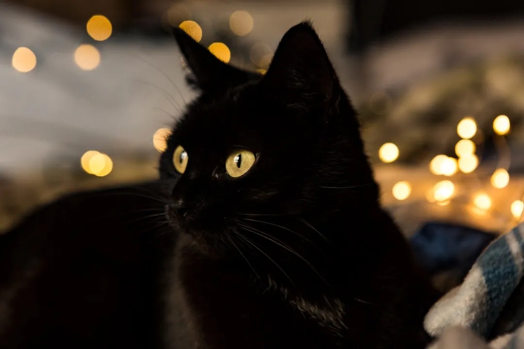 Leaving Screens and Lights On All Night (Image Credits: Unsplash)