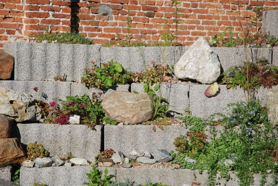 A Garden That Works While You Aren't Watching (Image Credits: Pexels)