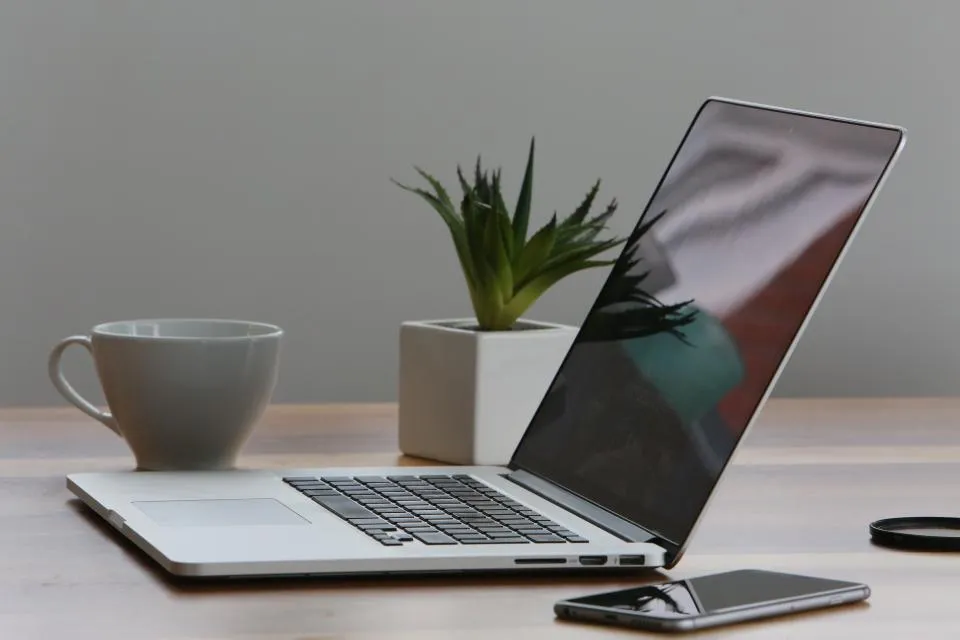 5. Add a Plant or Two (Image Credits: Stocksnap)