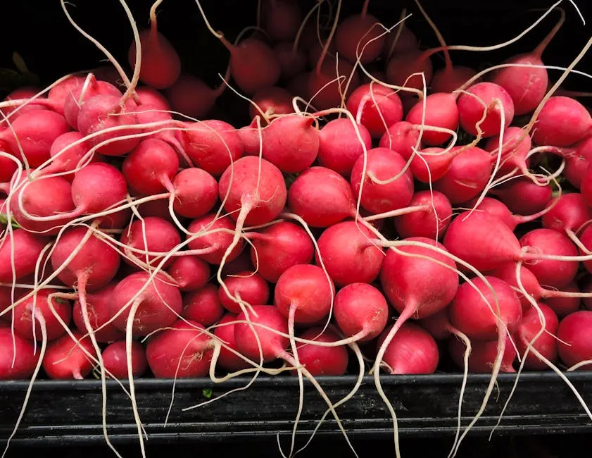 Store Them Properly to Preserve the Crunch (Image Credits: Pexels)