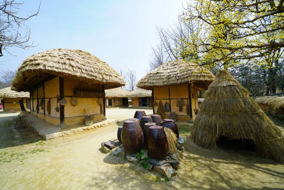 Korean Pumasi: Labor Sharing Tied to Coordinated Timing (Image Credits: Pexels)