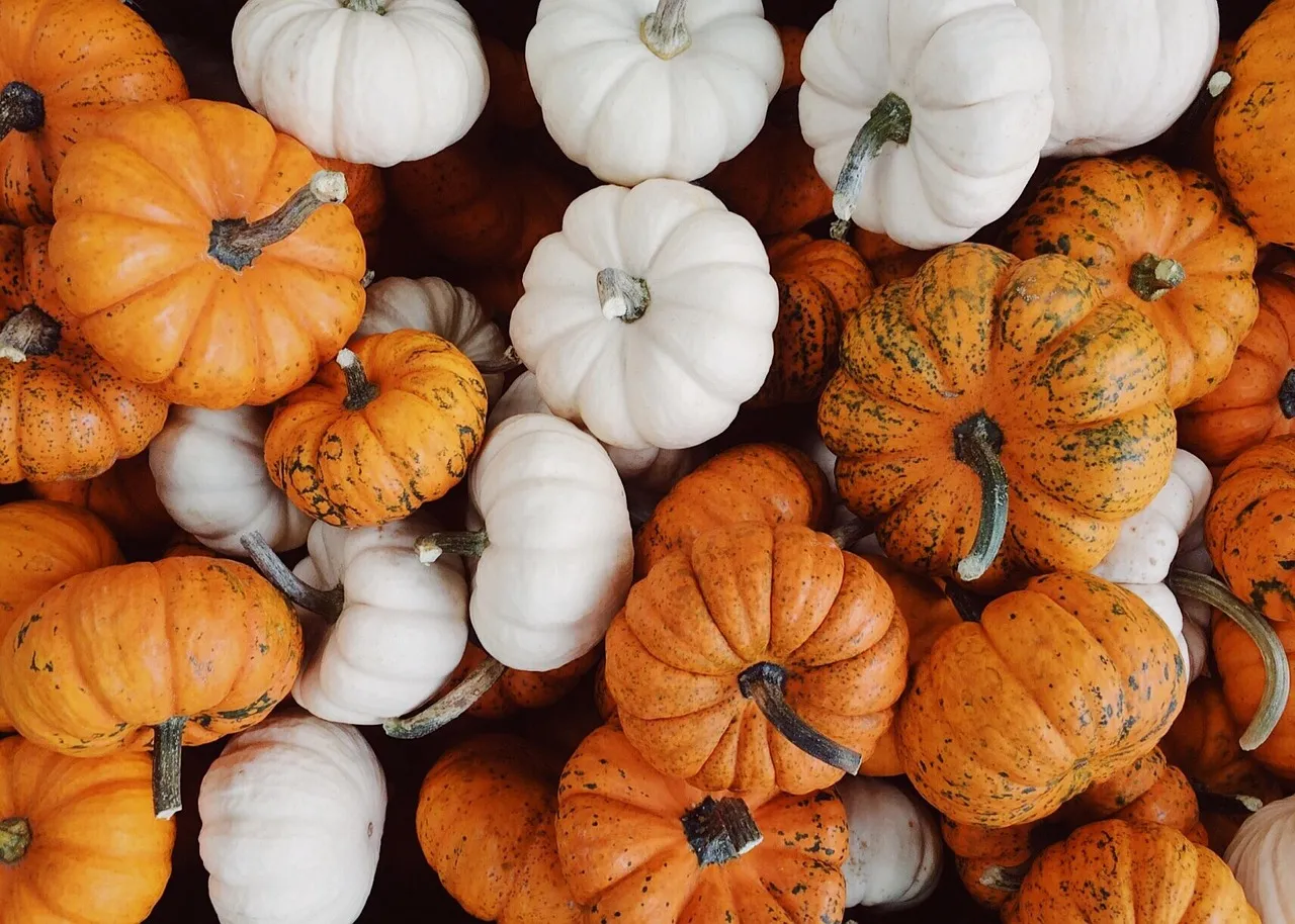 White Pumpkins and the Genetics of Missing Orange (Image Credits: Pixabay)