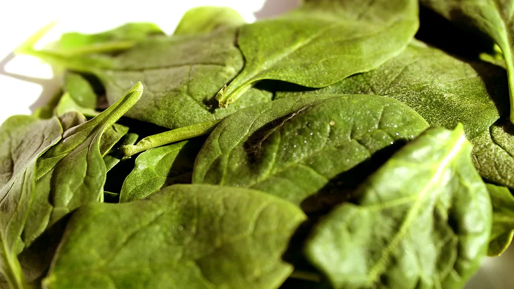 2. Leafy Green Vegetables: Humble, Cheap, and Genuinely Powerful (DeSegura89, Flickr, CC BY 2.0)