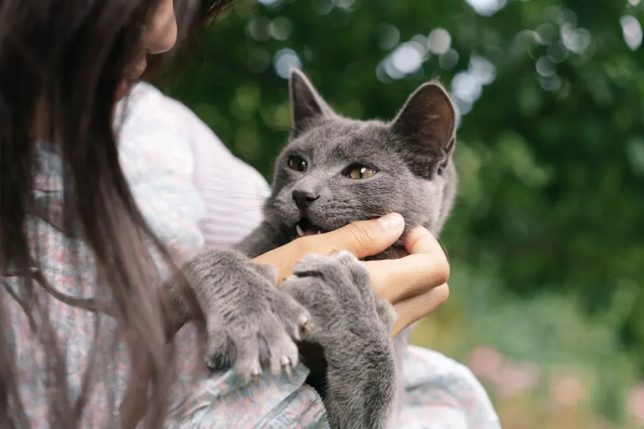 It May Be a Kittenhood Habit That Never Left (Image Credits: Pexels)