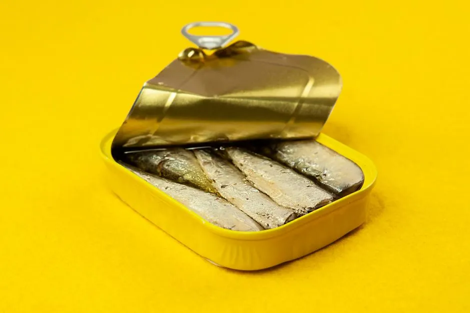 From Wartime Ration to Viral Sensation: The Sardine's Remarkable Journey (Image Credits: Pexels)