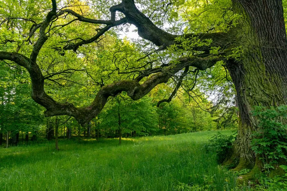 The Wildlife Bonus You Didn't Expect (Image Credits: Pexels)