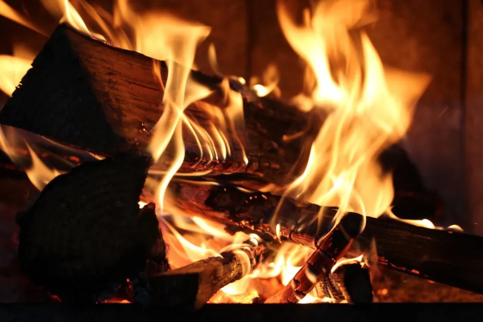 Placing the Tree Near a Heat Source Speeds Everything Up (Image Credits: Pexels)