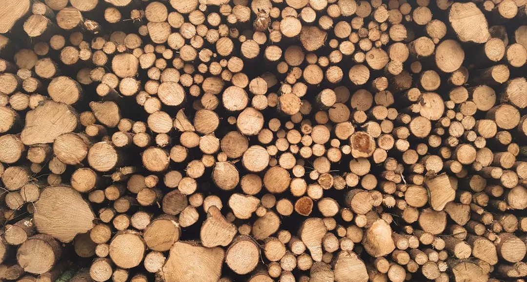 The Summer Culprit Is Humidity, Not Heat (Image Credits: Unsplash)