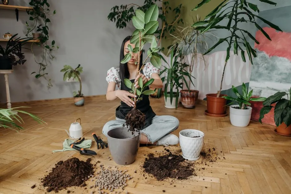 Repotting: One of the Most Common Mistakes in Plant Care (Image Credits: Pexels)