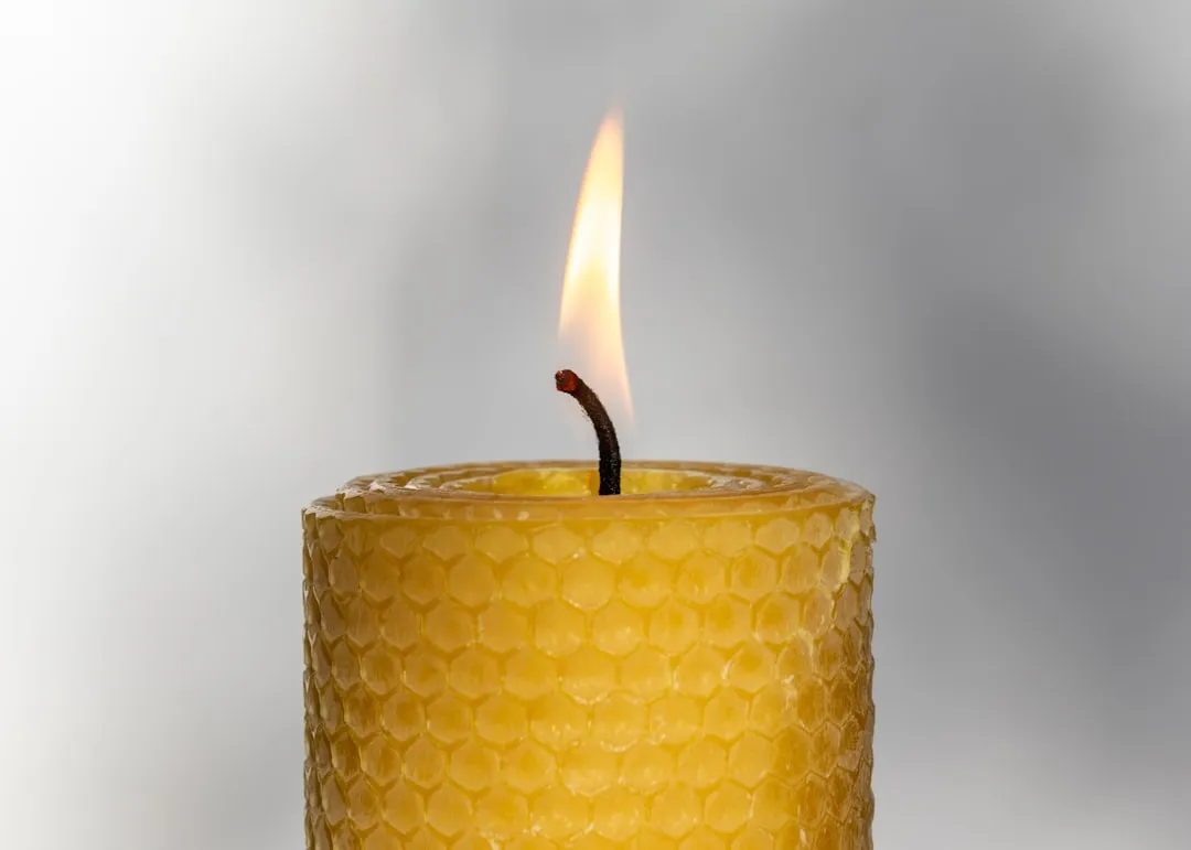 Smarter Alternatives and Cleaner Burning Habits (Image Credits: Unsplash)