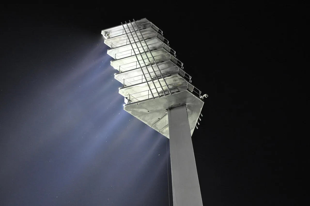 Try Motion-Activated Deterrents (Image Credits: Pixabay)
