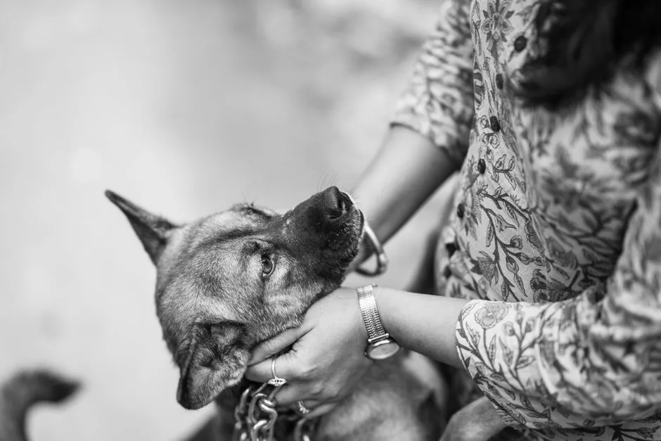 It's a Sign of Deep Trust (Image Credits: Pexels)