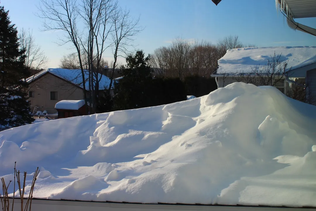 What Declining Snowpack Means for Perennial Gardens Going Forward (Image Credits: Unsplash)