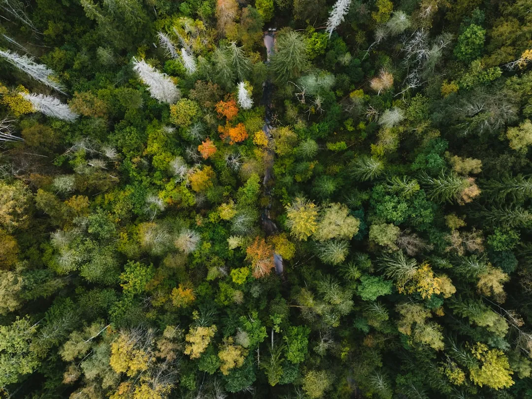 Community Science Programs Are Making This Search Systematic (Image Credits: Unsplash)