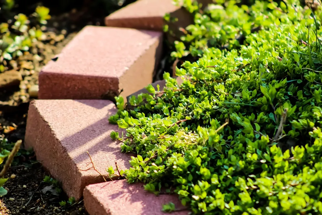 10. Brick Details in the Garden (Image Credits: Unsplash)