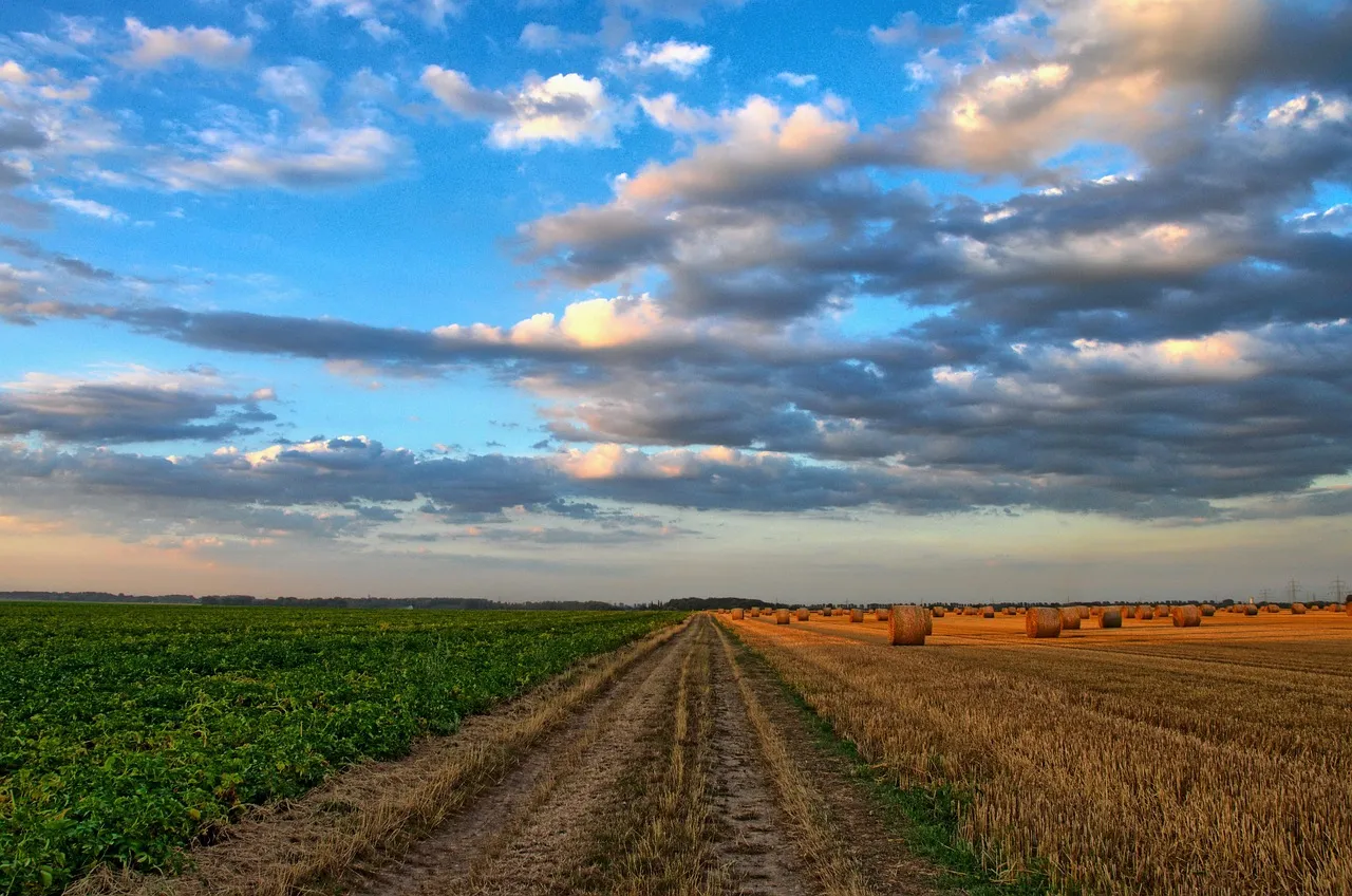 Rural America Still Drives for the Sake of Driving (Image Credits: Pixabay)
