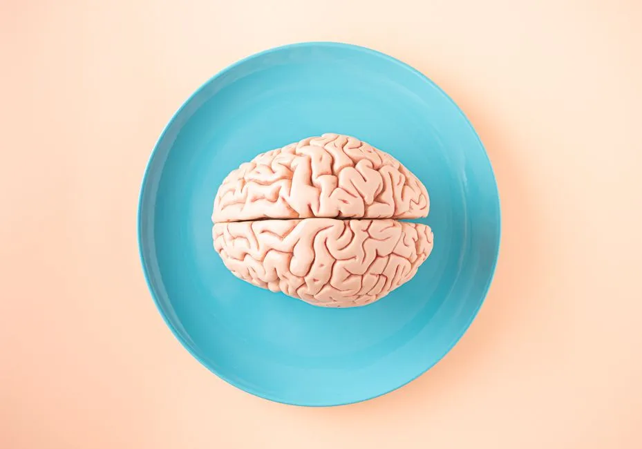 The Gut-Brain Connection: More Than a Metaphor (Image Credits: Pexels)
