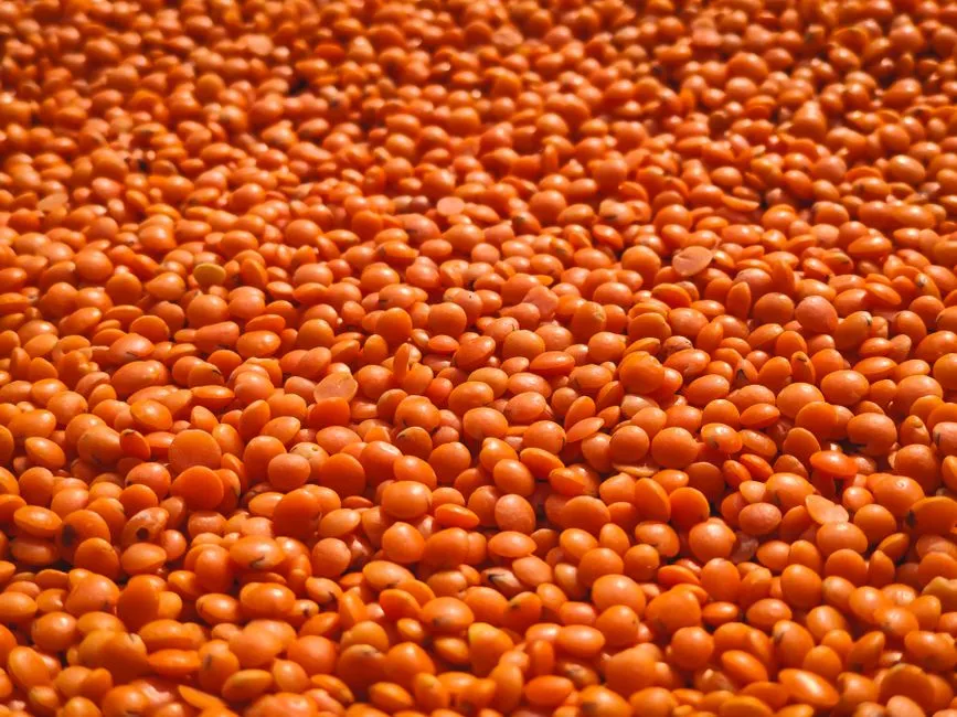1. Lentils: A Quiet Giant in the Iron World (Image Credits: Pexels)