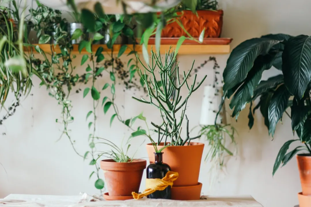 The Scale of the Problem (Image Credits: Unsplash)