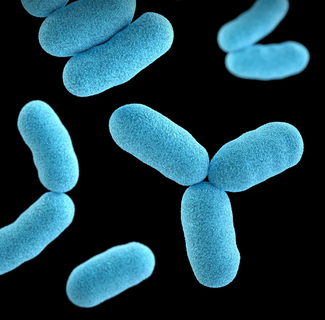 Why the Gut Microbiome Matters More Than You Think (Image Credits: Unsplash)