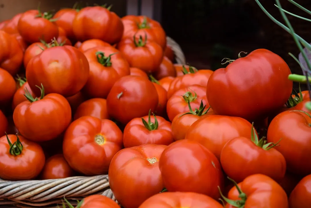 Tomatoes: The Waning Moon Mistake (Image Credits: Unsplash)