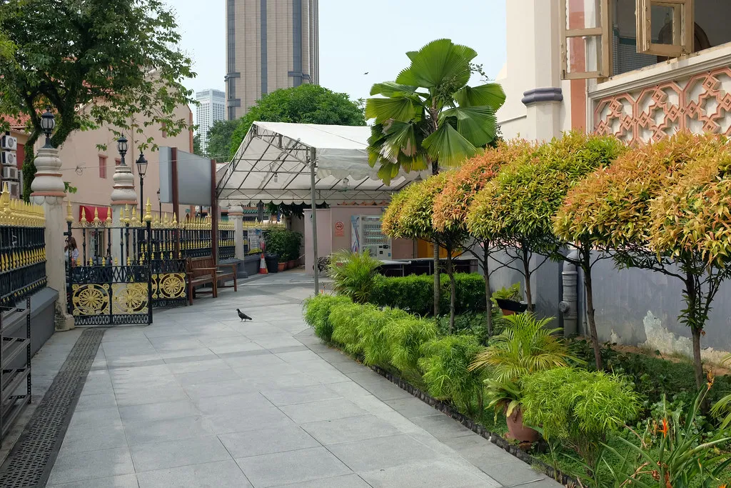 9. Cast Iron Plant (Aspidistra elatior): Built for Neglect (Jnzl's Photos, Flickr, CC BY 2.0)