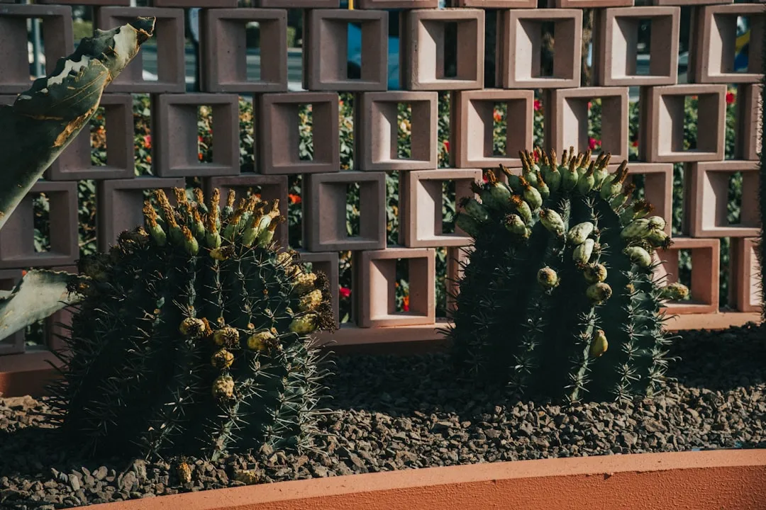 5. Choose Low-Maintenance, Forgiving Plants (Image Credits: Unsplash)