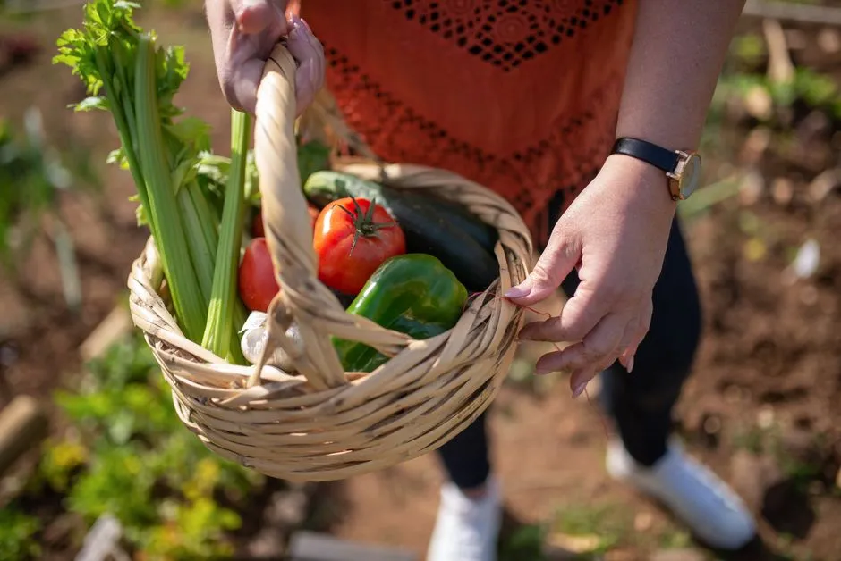 What Would It Actually Take to Bring Victory Gardens Back? (Image Credits: Pexels)