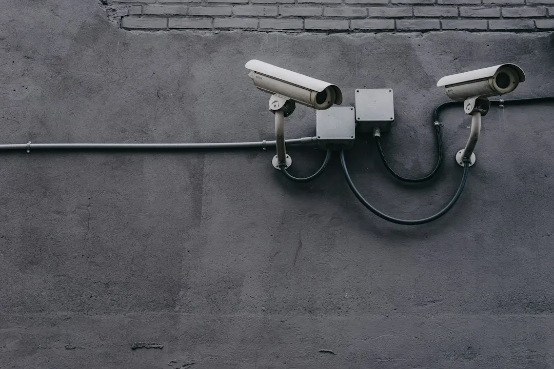 Lower Crime Rates and Greater Informal Surveillance (Image Credits: Unsplash)