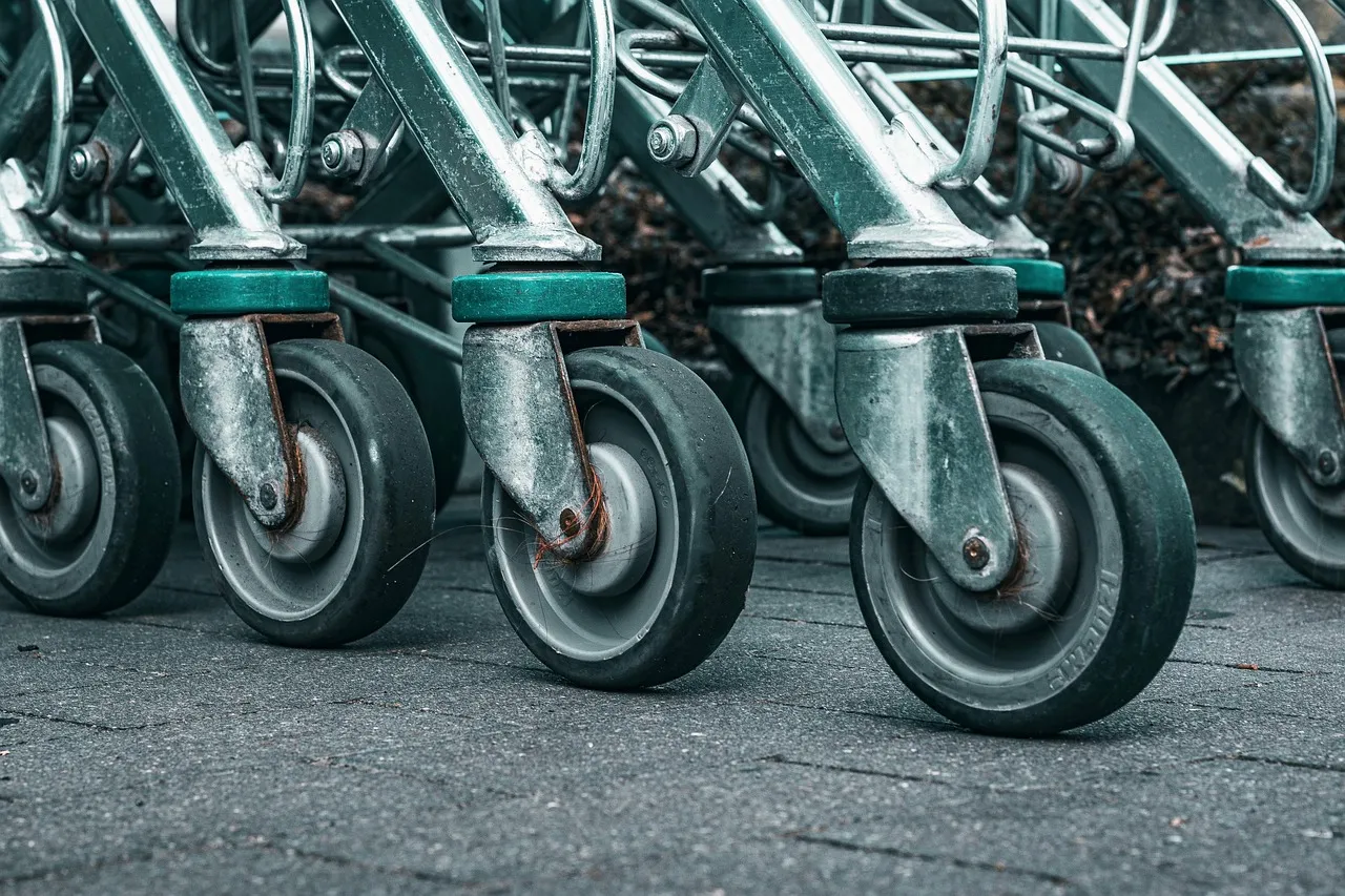 The Bigger Picture in the Cart (Image Credits: Pixabay)