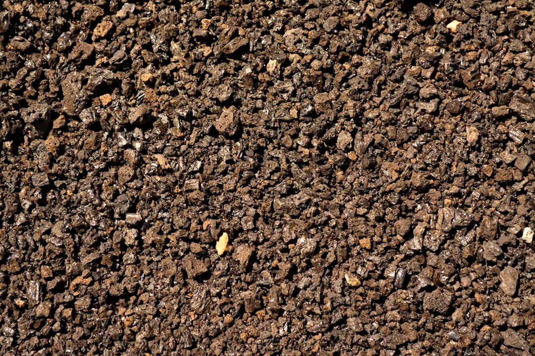 The Role of Soil Type in Making Depth More Complicated (Image Credits: Unsplash)