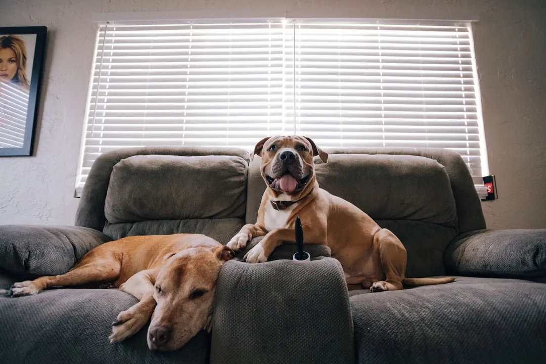 1. Destructive Chewing That Seems Targeted (Image Credits: Unsplash)