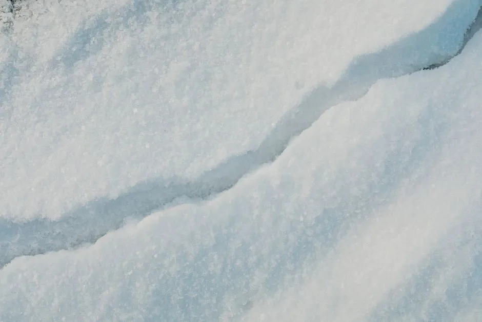 The Role of Sunny Winter Days (Image Credits: Pexels)