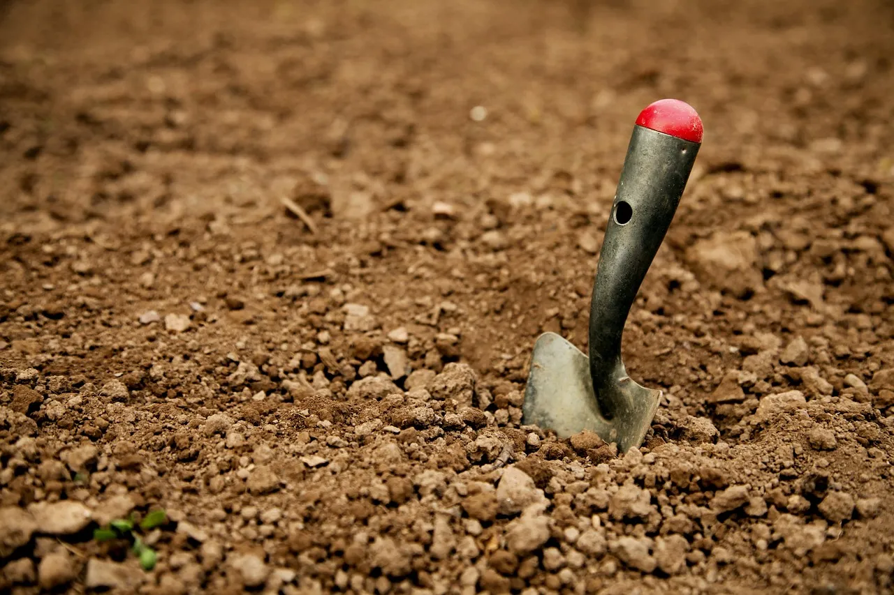 3. Ergonomic Digging Shovel: Materials and Construction Differ Enormously (Image Credits: Pixabay)