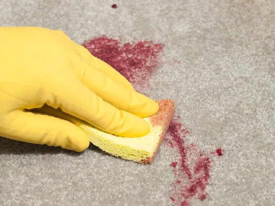 The Stain Types It Handles Best (Stephani Spitzer, Flickr, CC BY 2.0)