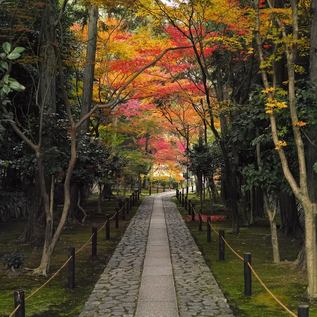 A Simple Autumn, a Better Spring (bethom33, Flickr, CC BY-SA 2.0)