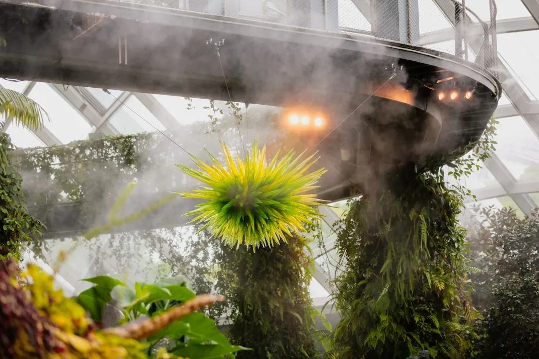 The Risk of Overcrowding: Airflow Matters (Image Credits: Unsplash)