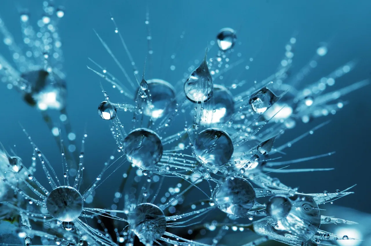 What Happens When You Use Cool Light Instead (Image Credits: Pixabay)