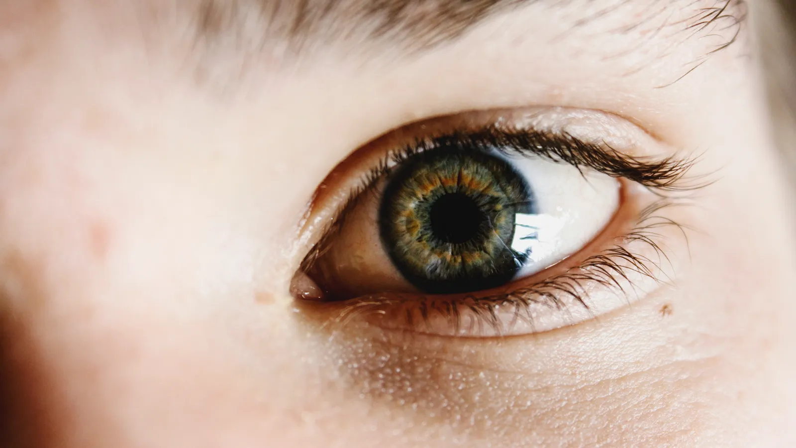 Practical Steps and When Doctors Say It's Time to Act (By Liam Welch lwxlch, CC0)