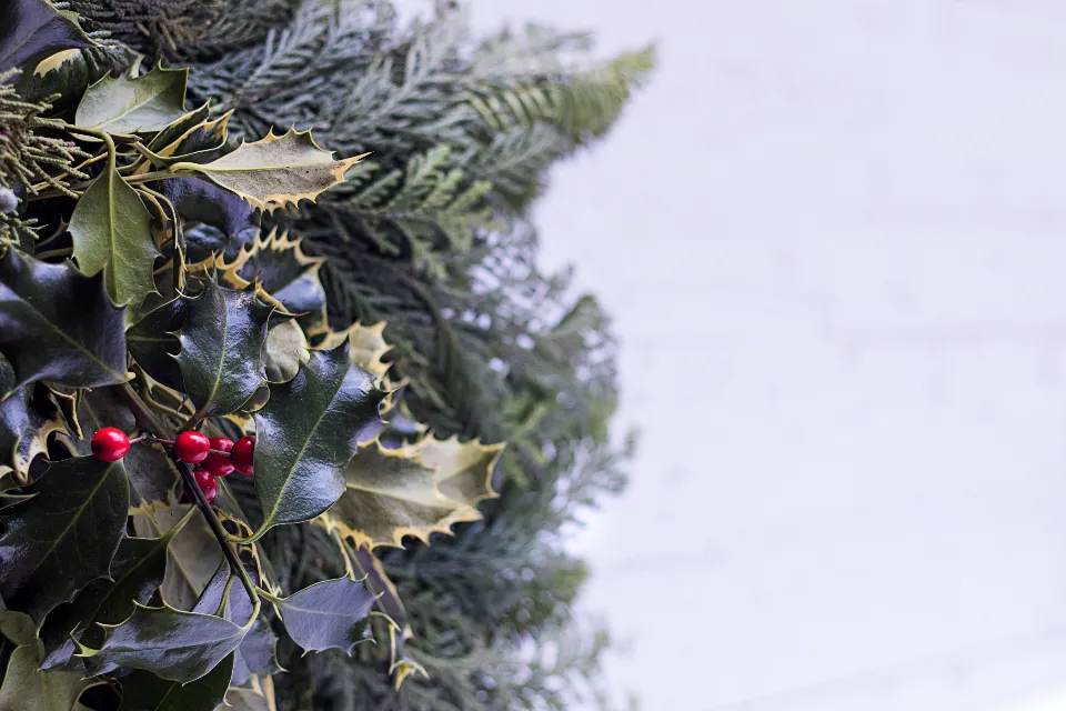 What Makes Holly So Uniquely Risky Among Decorative Plants (Image Credits: Stocksnap)