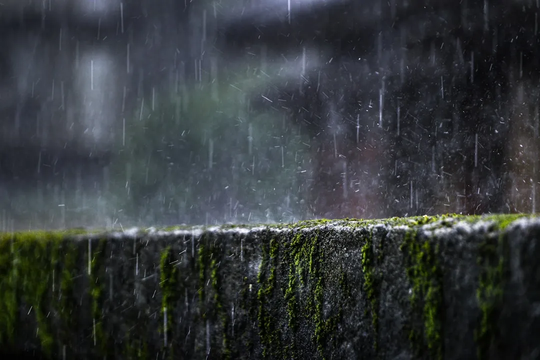 The Moment That Made Me Try This (Image Credits: Unsplash)