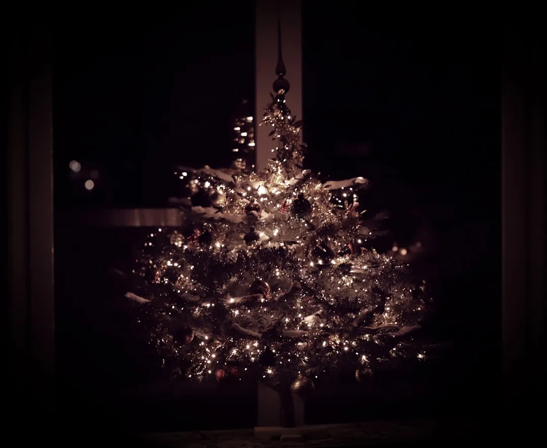 Signs Your Tree Has Become Dangerous (Image Credits: Unsplash)