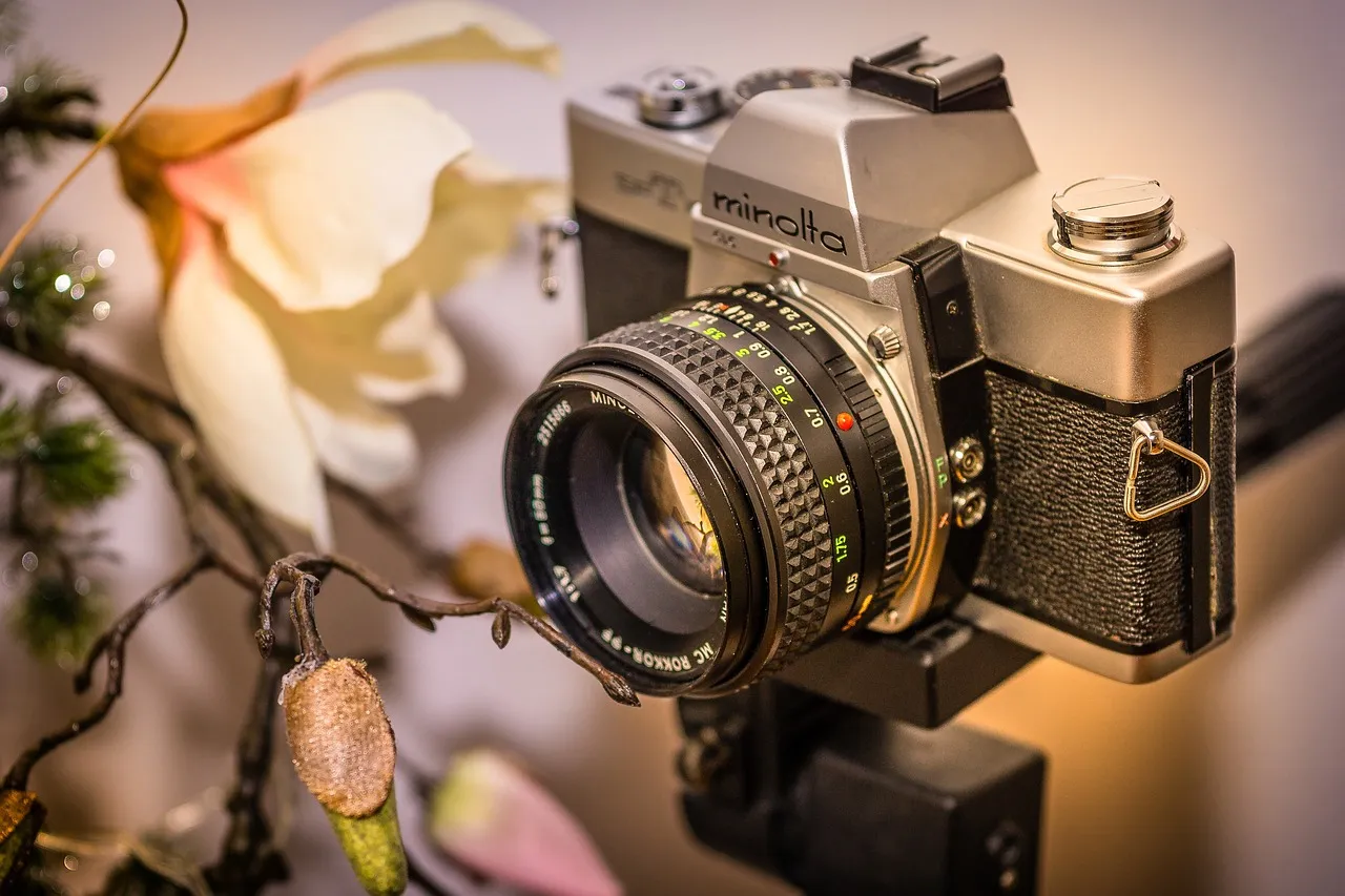 The Compact Point-and-Shoot Surprise (Image Credits: Pixabay)