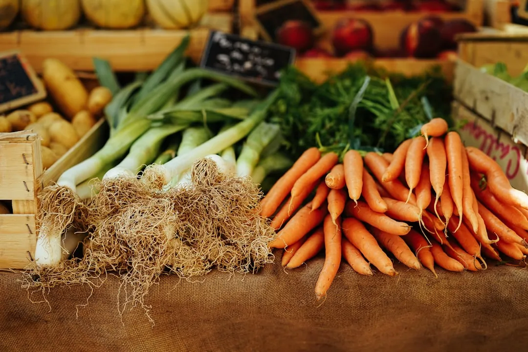 What You Can Store, and for How Long (Image Credits: Unsplash)
