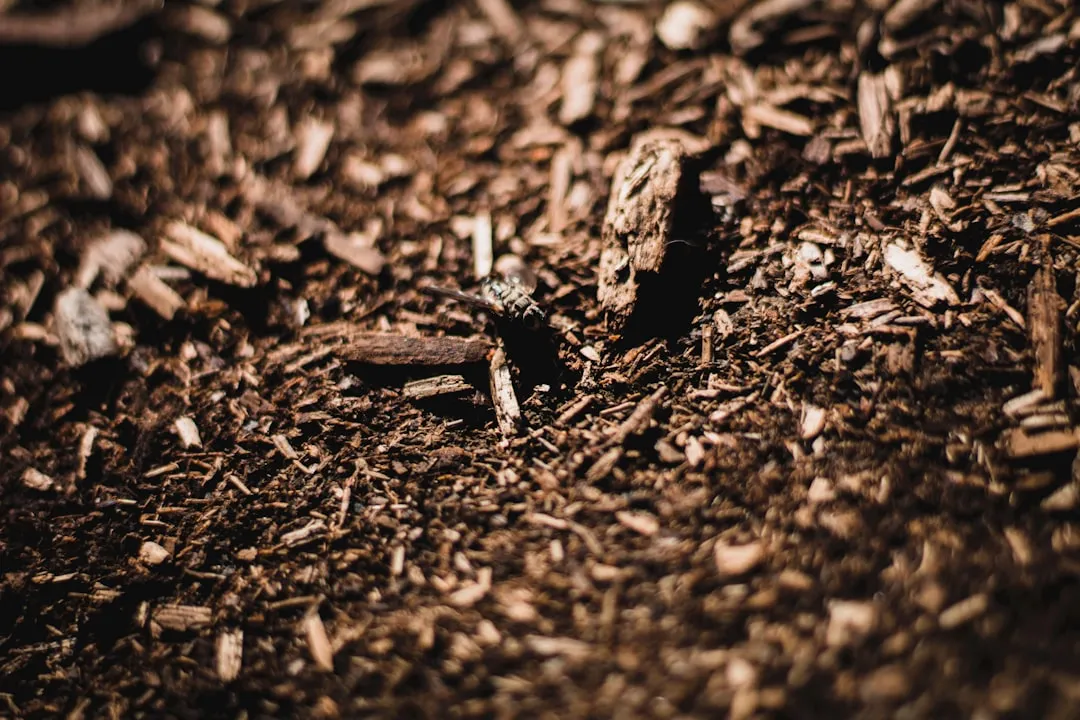 5. An Unusual Rustling or Scratching Sound Under Mulch or Dead Leaves (Image Credits: Unsplash)