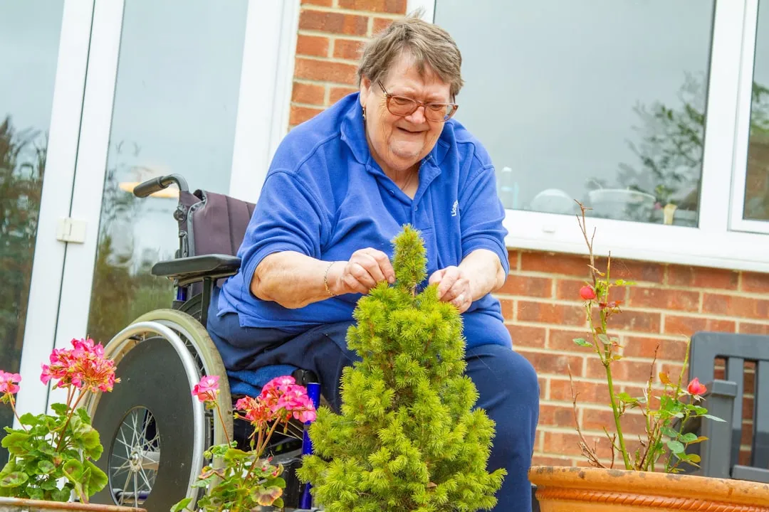 Seated Gardening and Wheelchair Accessibility (Image Credits: Unsplash)