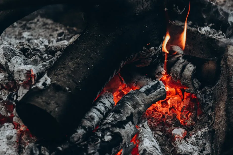Using Wood Ash in Your Compost Pile (Image Credits: Pexels)